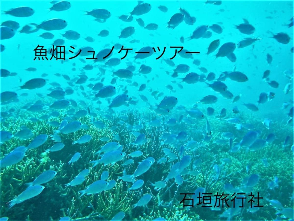 ゆい屋 Villa Ishigaki  Bagian luar foto